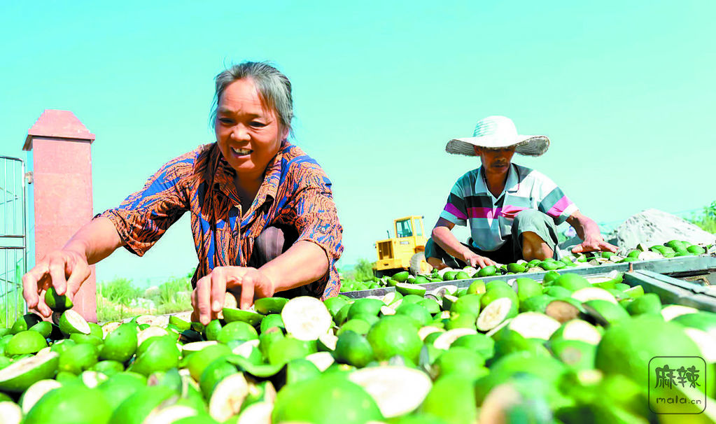 b3a6abfb-1e8d-4f95-bc1b-2f8d0a36f528.tif.2