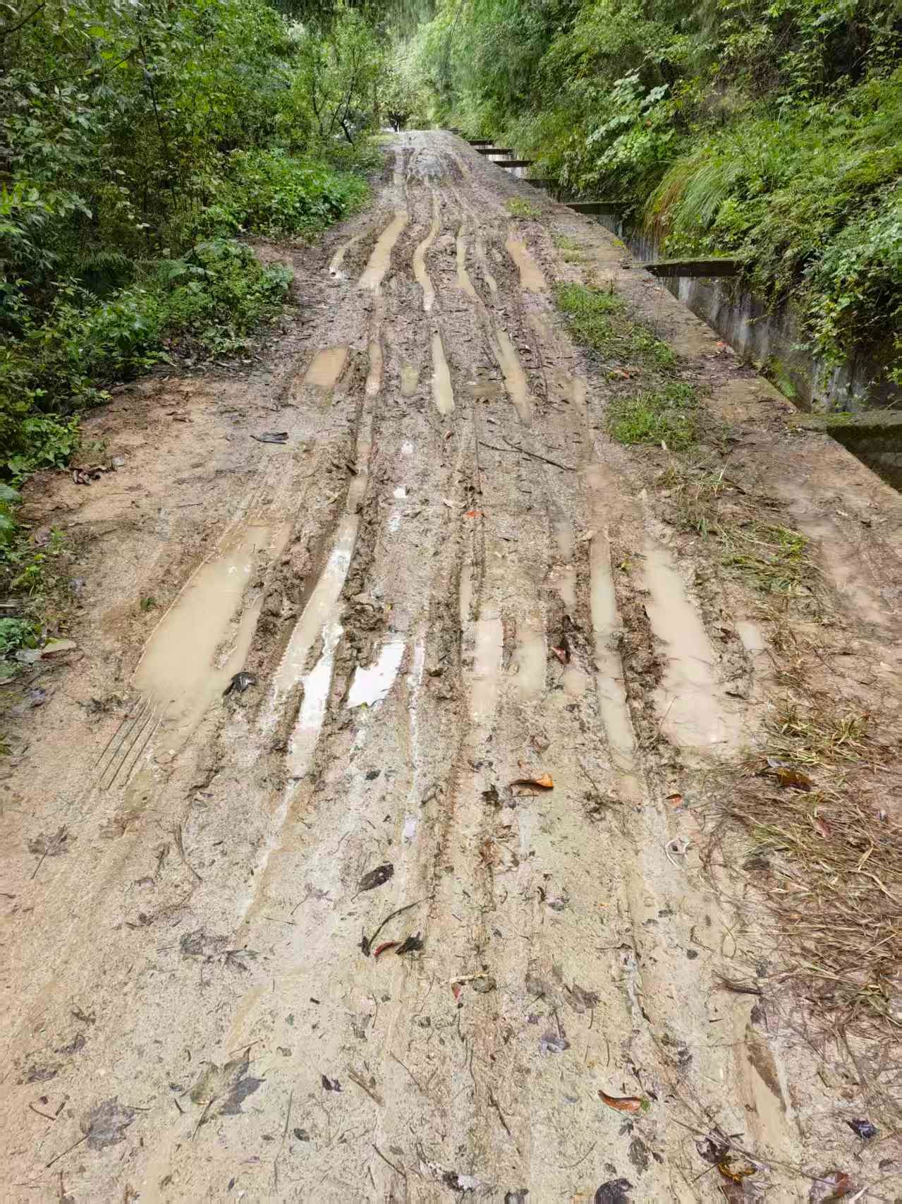 ��Ţ��Ҫ��