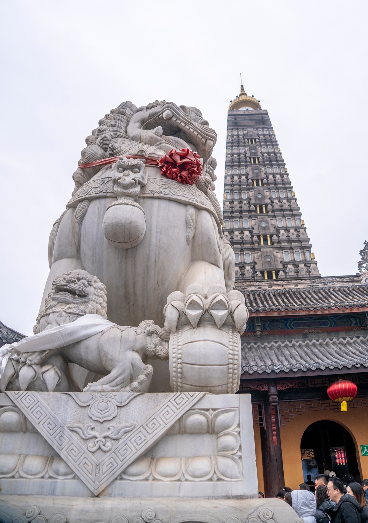 DSC09020 ����.jpg