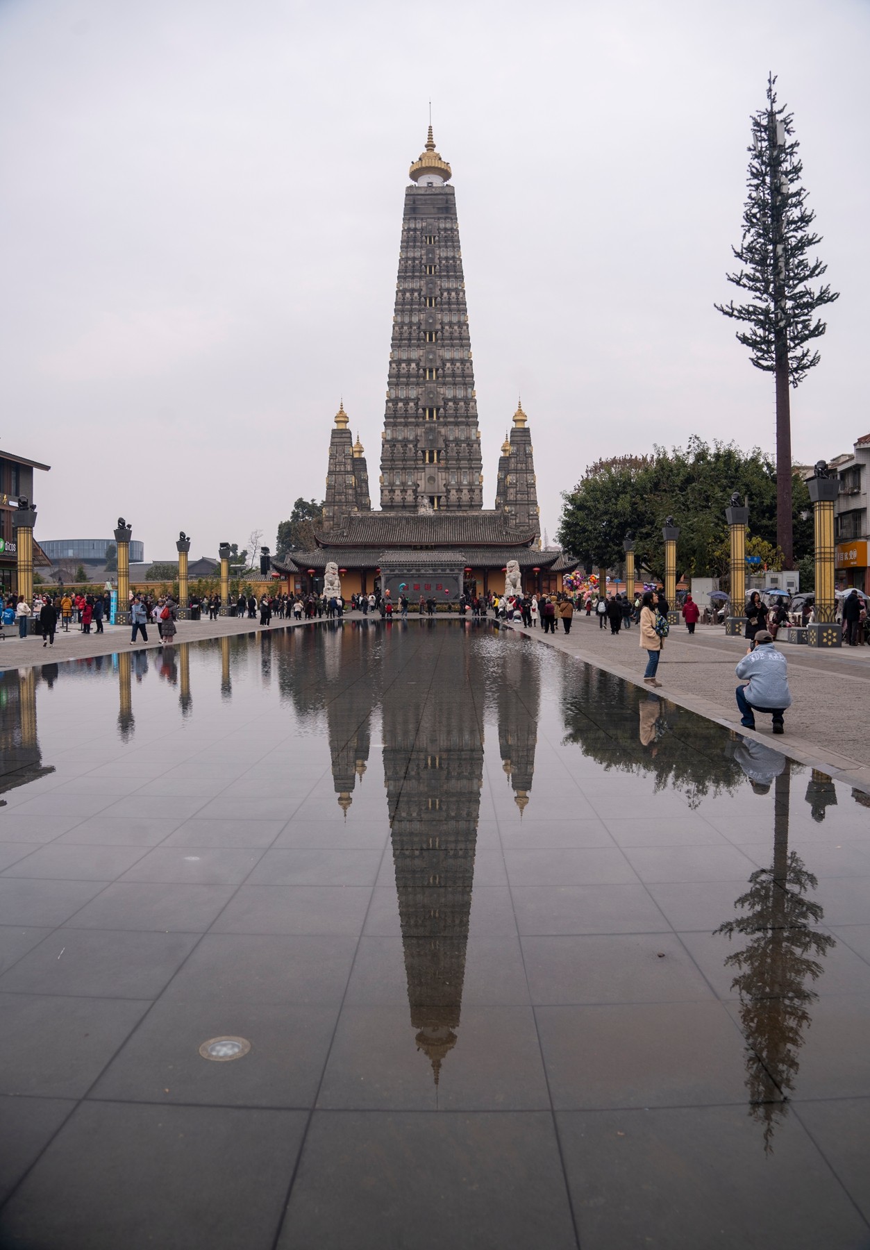 DSC09005 ����.jpg