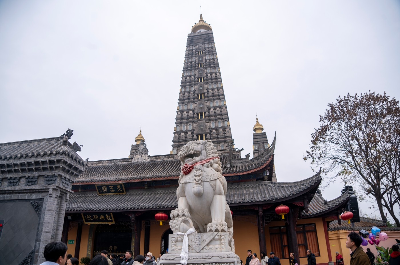 DSC09016 ����.jpg