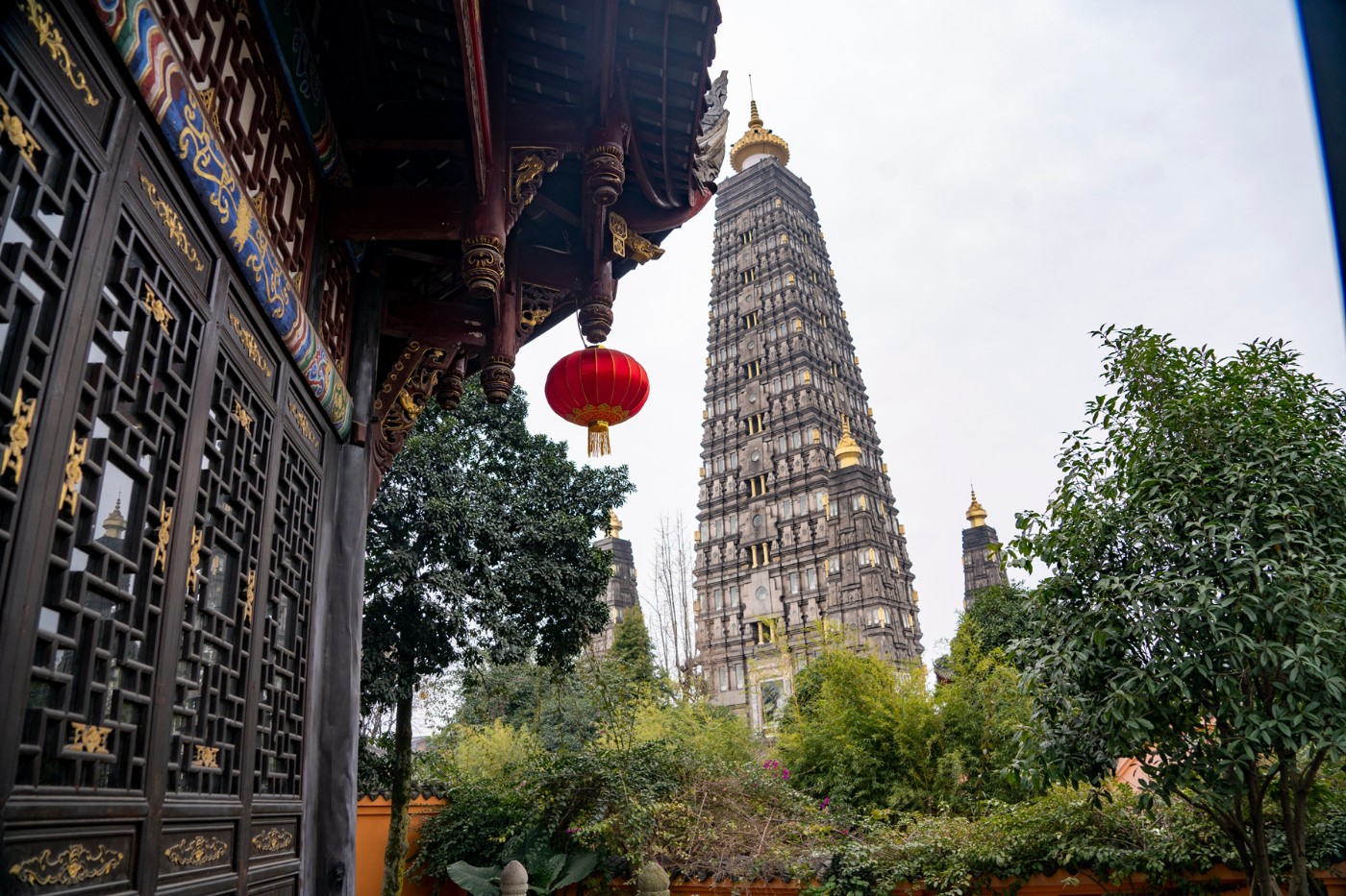 DSC09093 ����.jpg