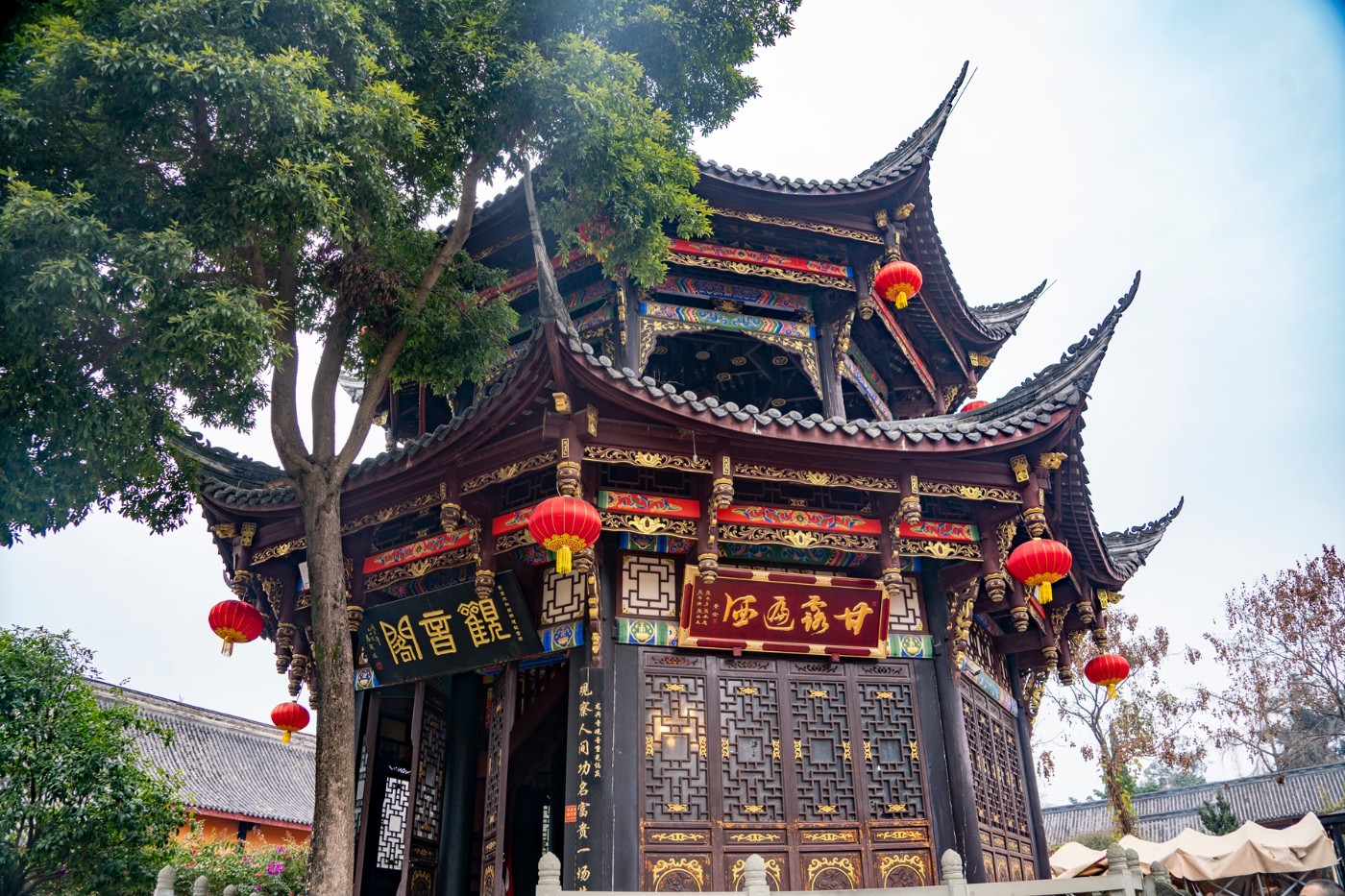 DSC09100 ����.jpg