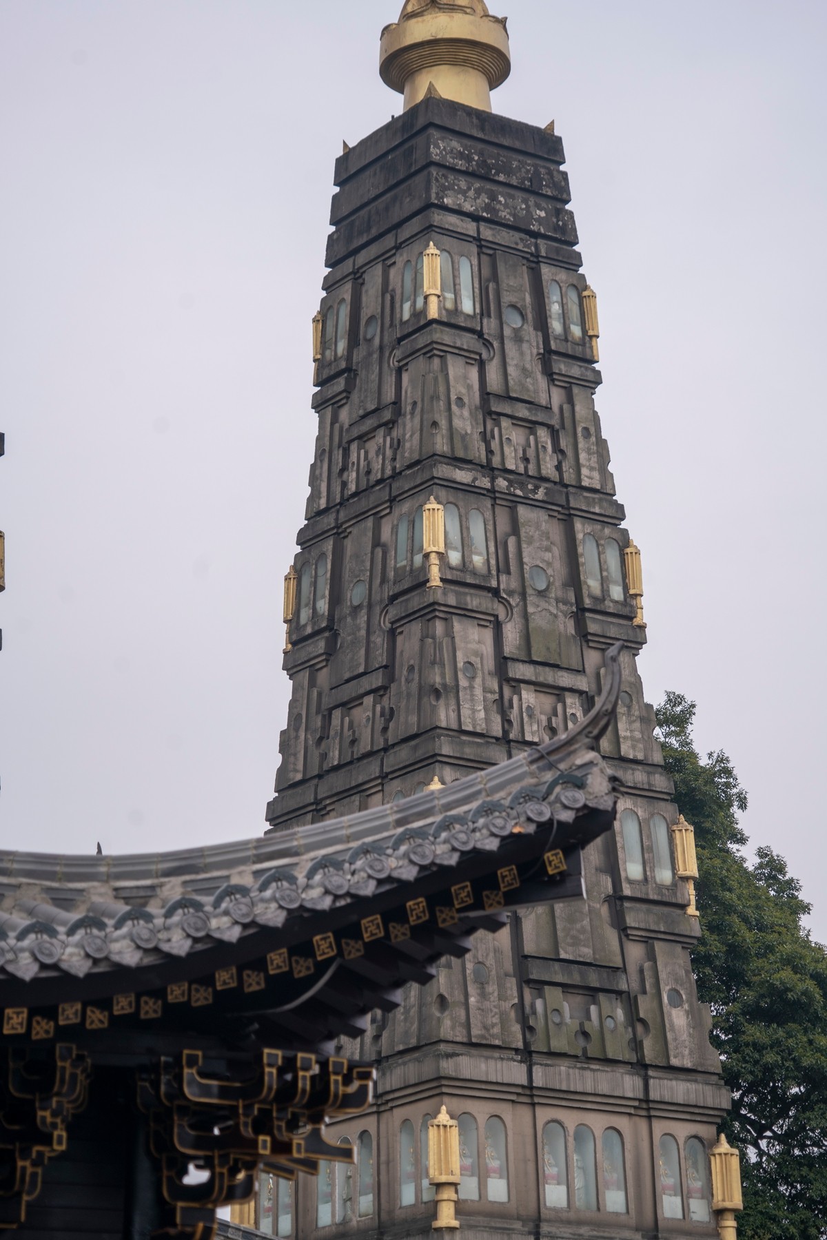 DSC09064 ����.jpg