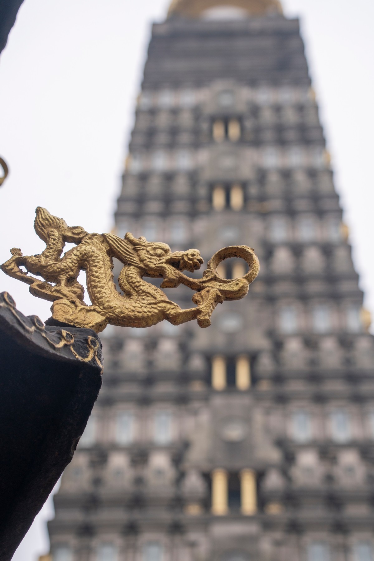 DSC09071 ����.jpg