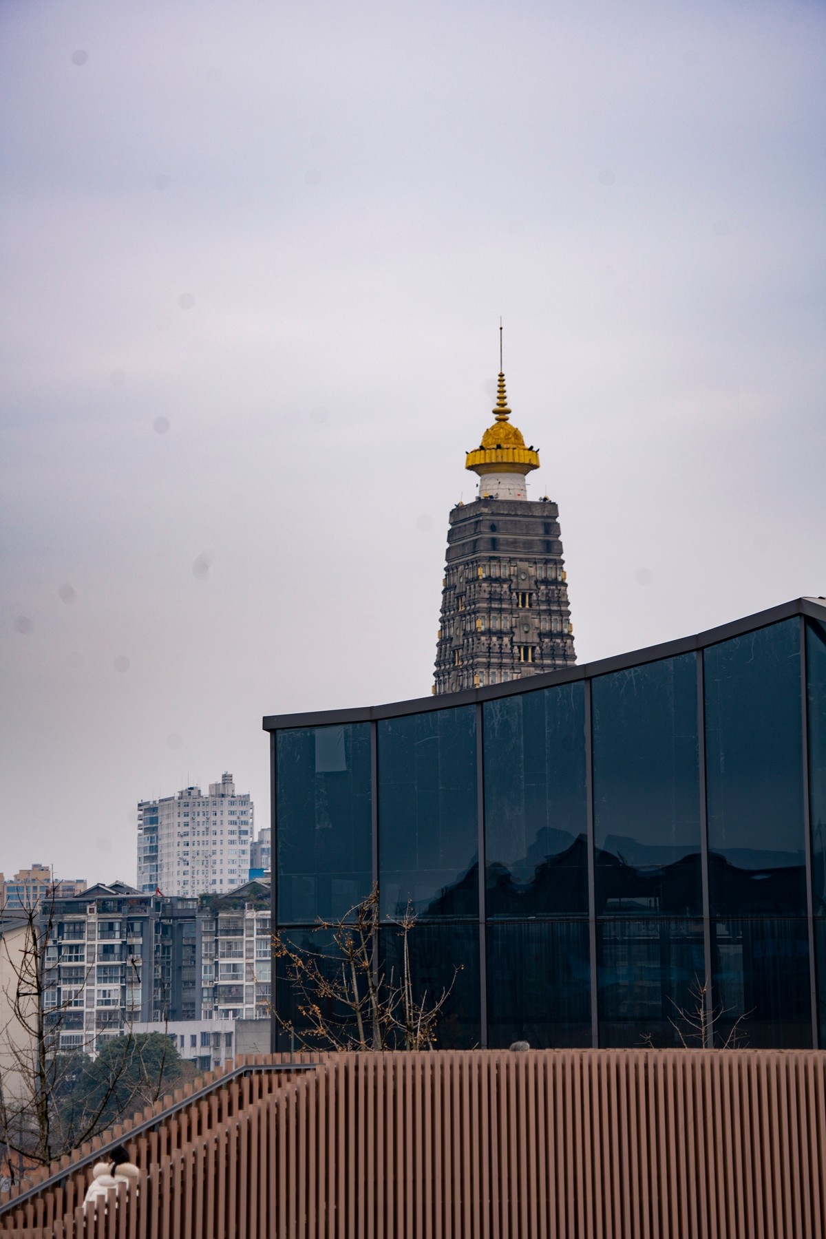 DSC09147 ����.jpg