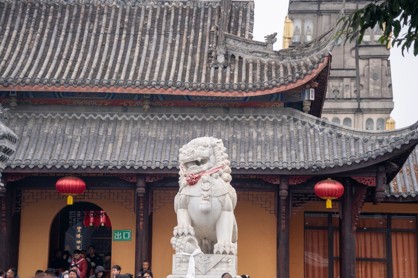 DSC09012 ����.jpg