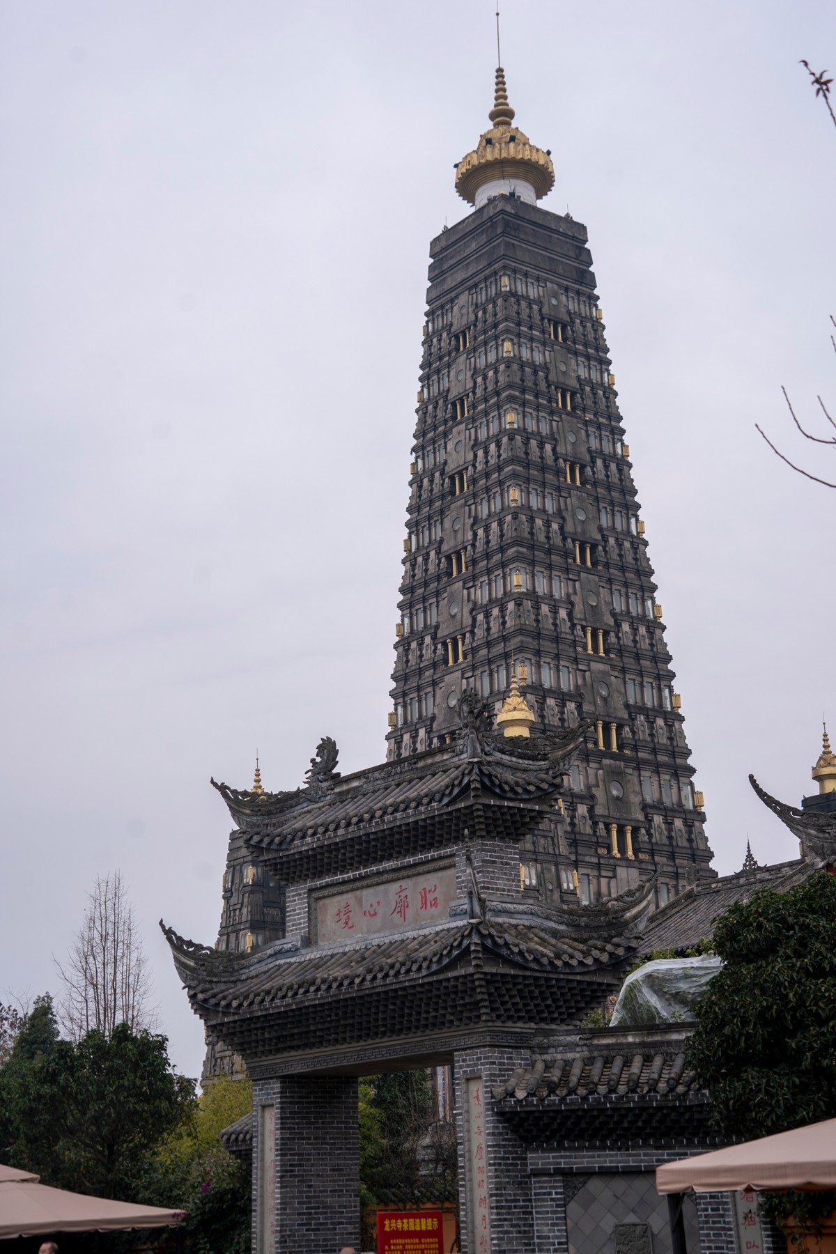 DSC09101 ����.jpg