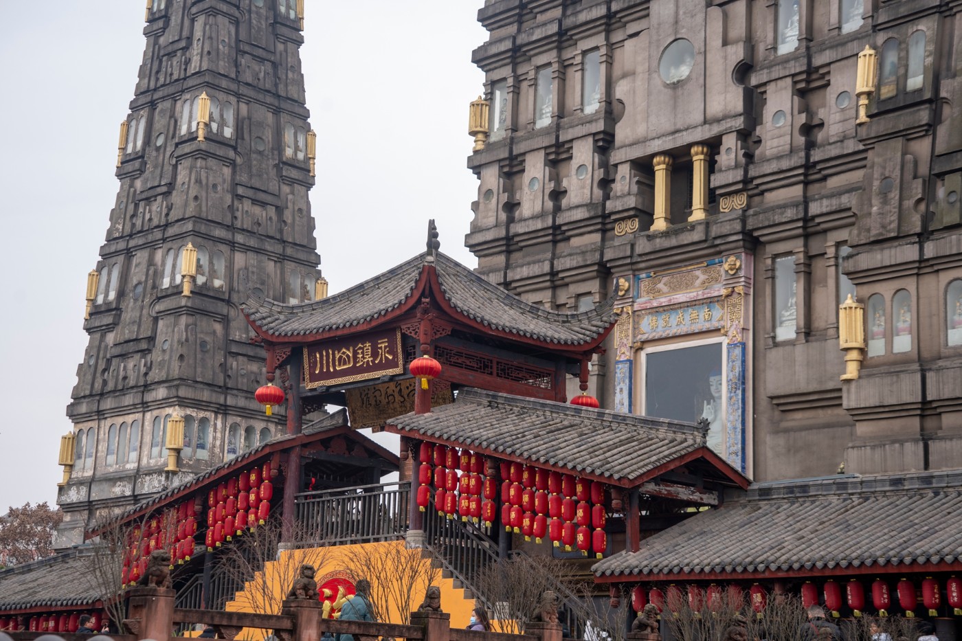 DSC09051 ����.jpg