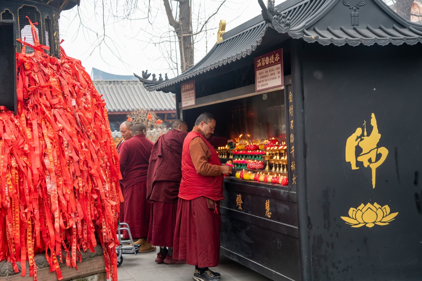 DSC09065 ����.jpg