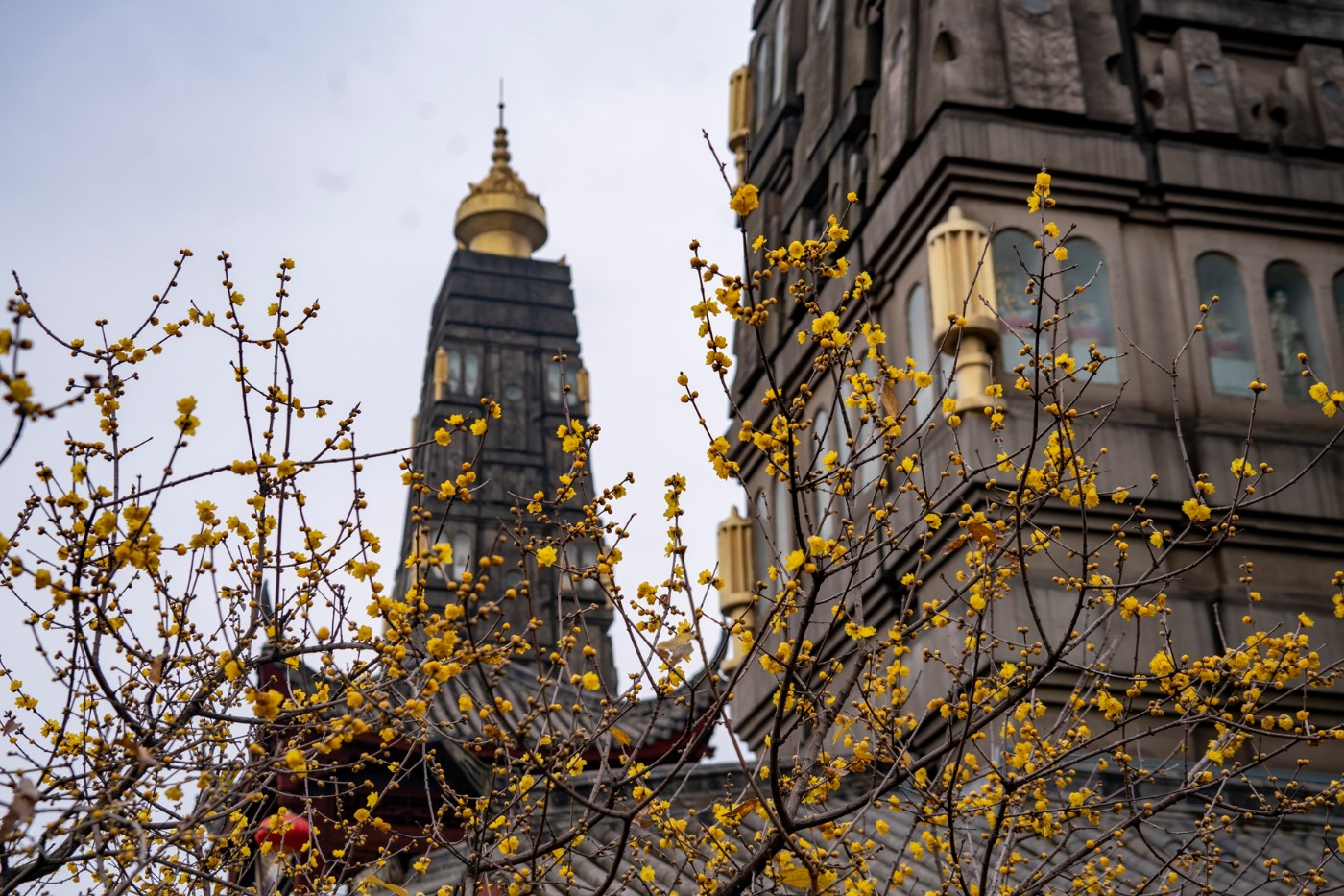 DSC09117 ����.jpg