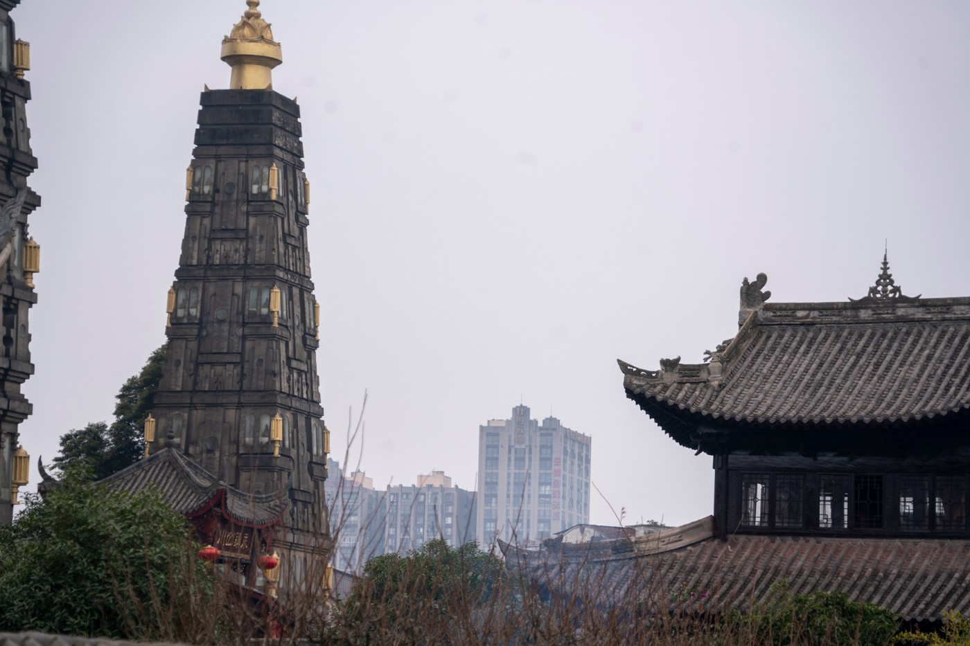 DSC09096 ����.jpg