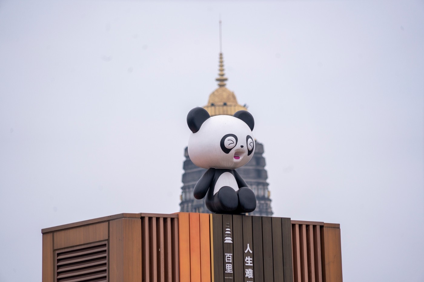 DSC09148 ����.jpg