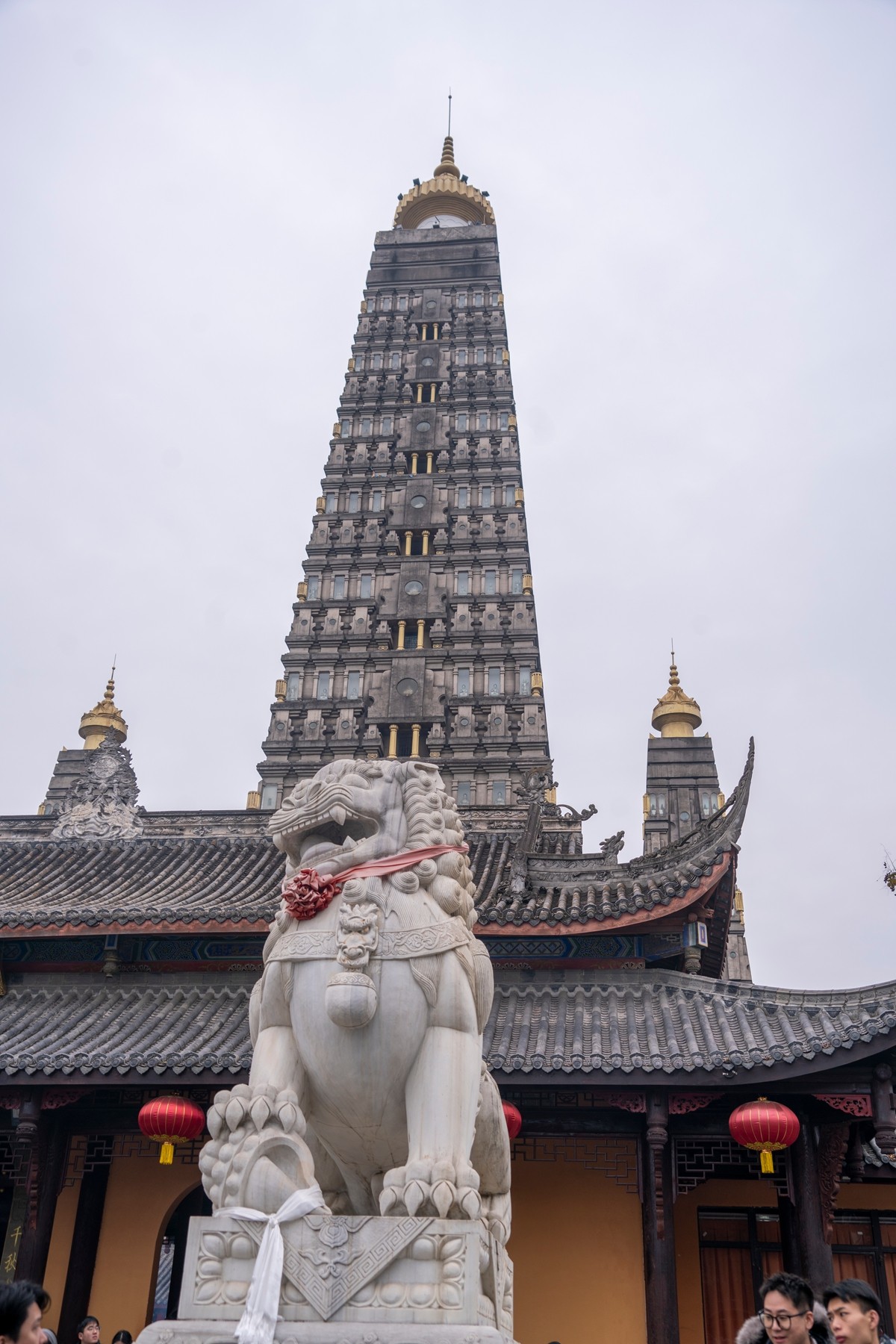 DSC09015 ����.jpg