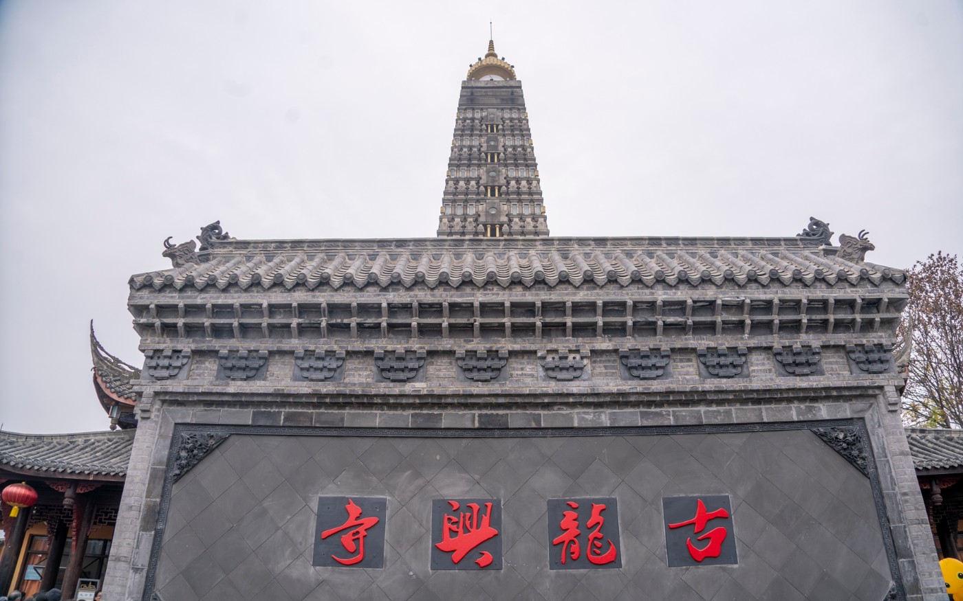 DSC09019 ����.jpg