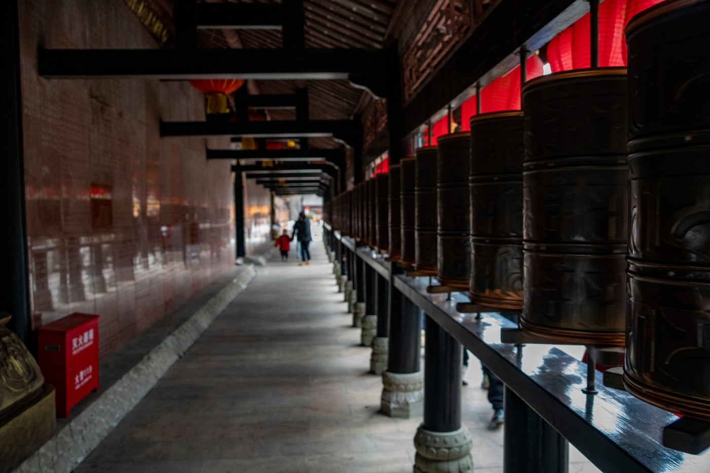 DSC09107 ����.jpg