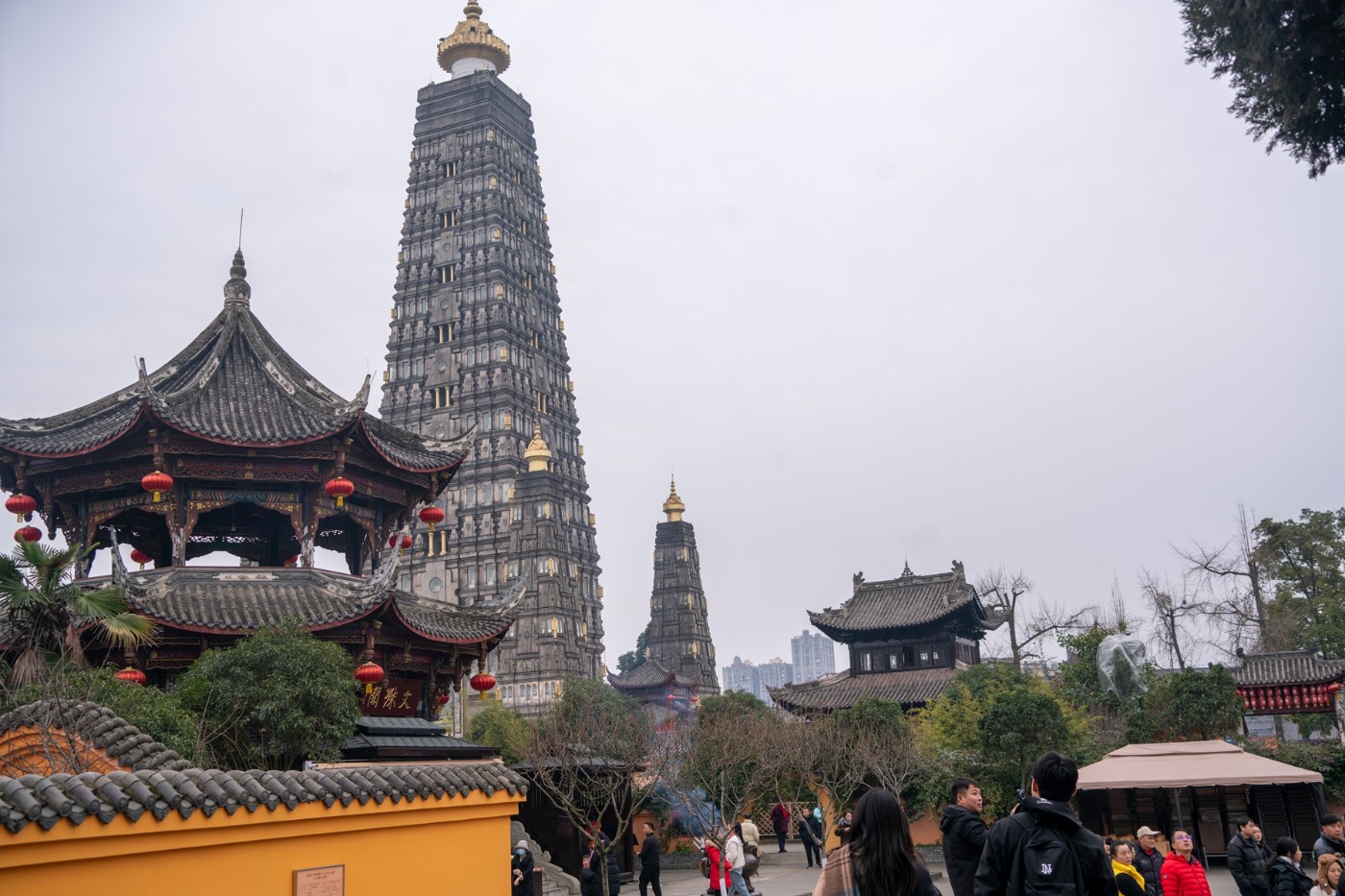 DSC09097 ����.jpg