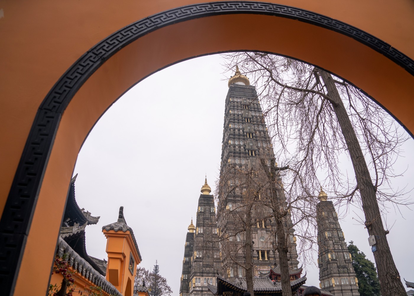 DSC09087 ����.jpg