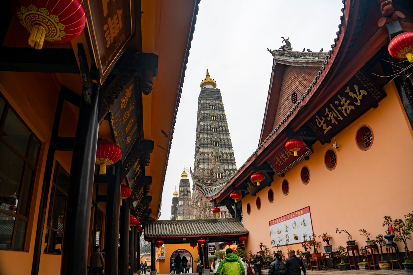 DSC09123 ����.jpg