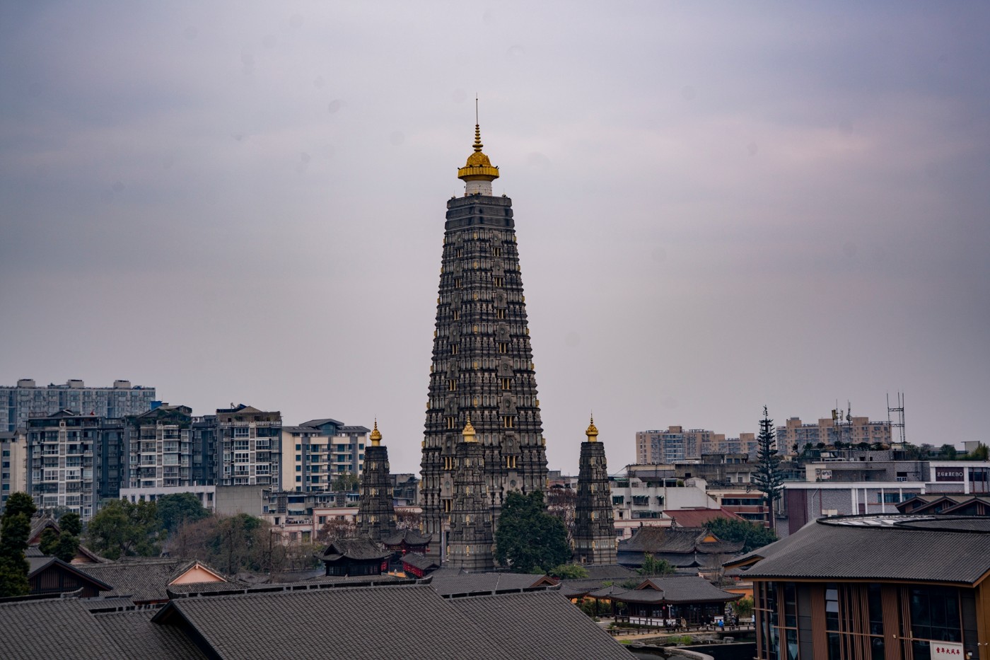 DSC09142 ����.jpg