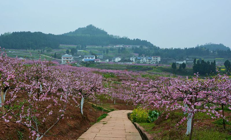 ��¥�һ� - ����.jpg