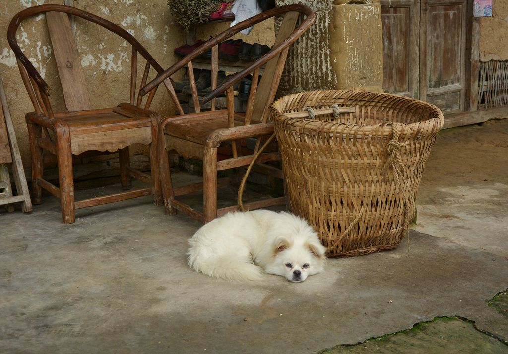 ���͹� - ����.jpg