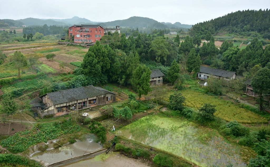 ����ʮ��� - ����.jpg