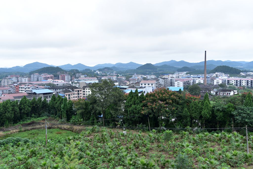 ������ - ����.jpg