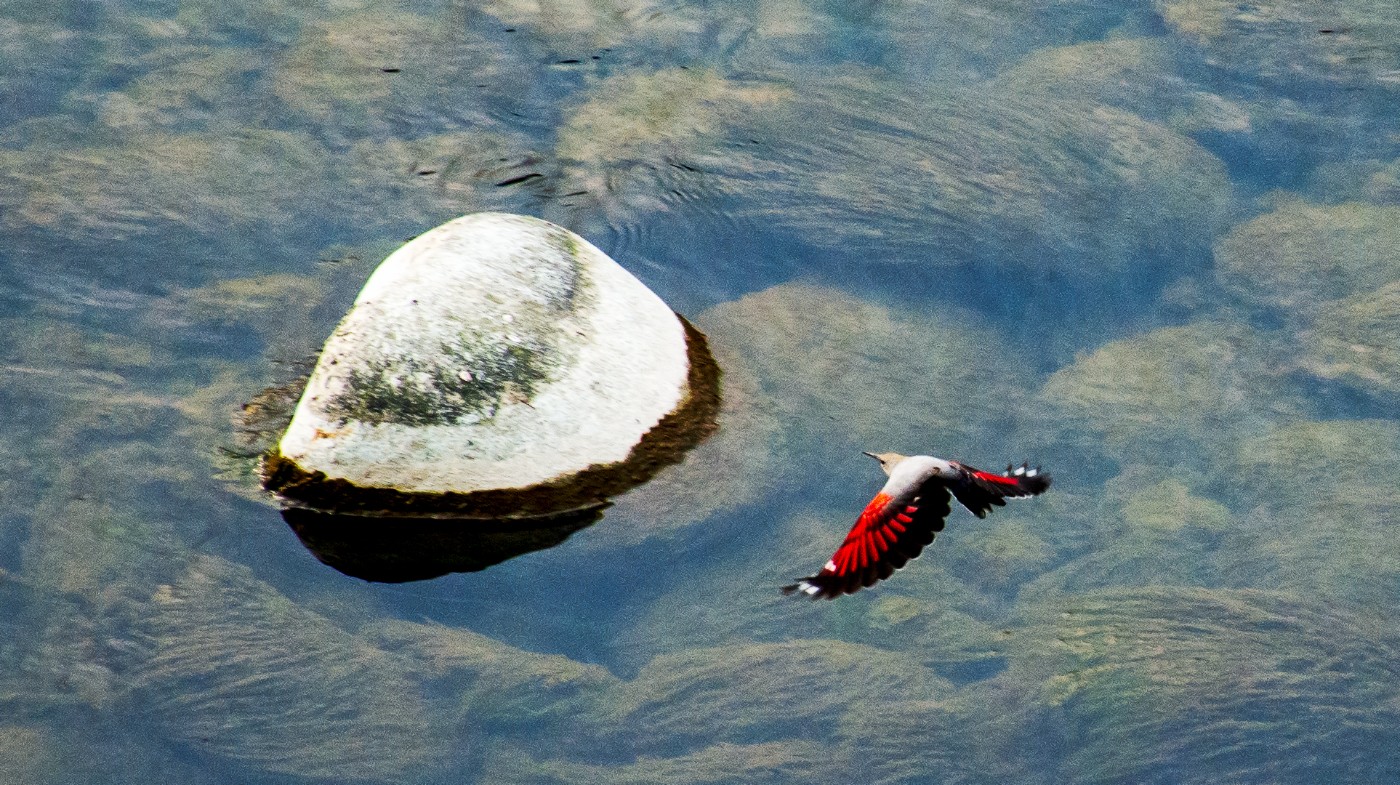 �ڶ����߾��������������ȸ