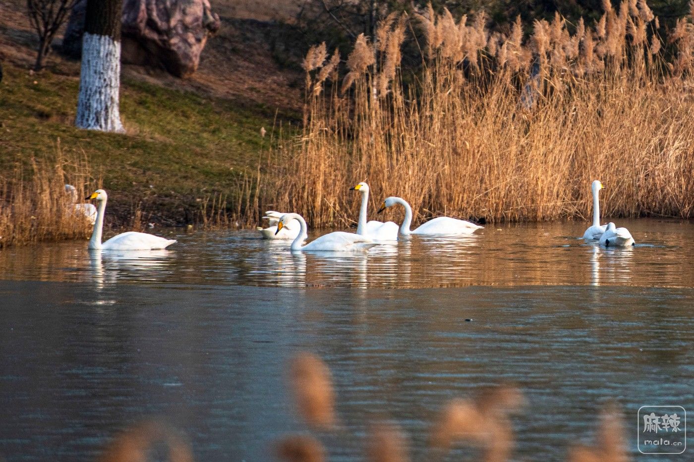 DSC_0569 ����.jpg