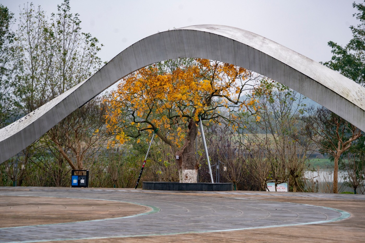 DSC09150 ����.jpg