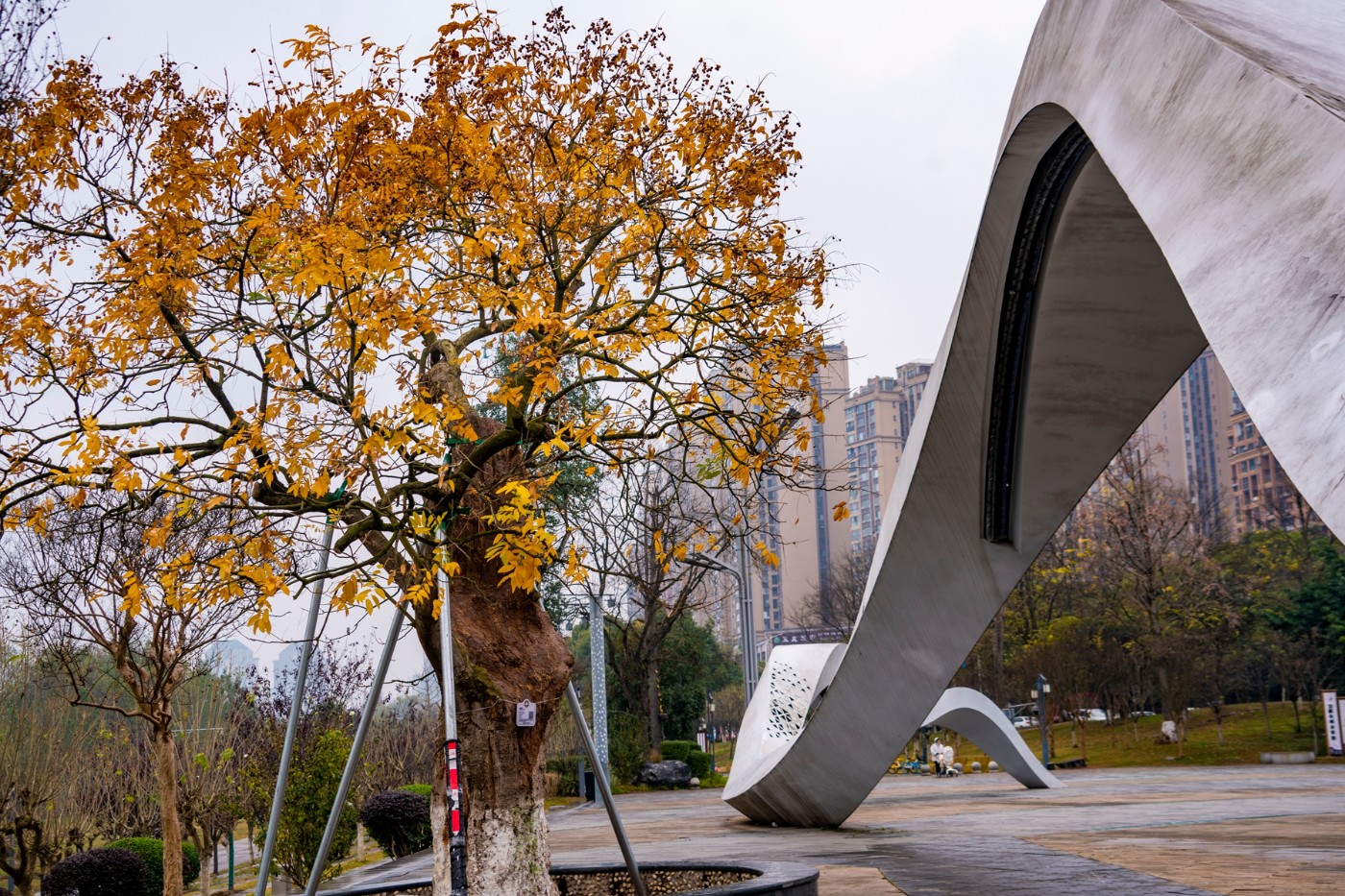 DSC09169 ����.jpg