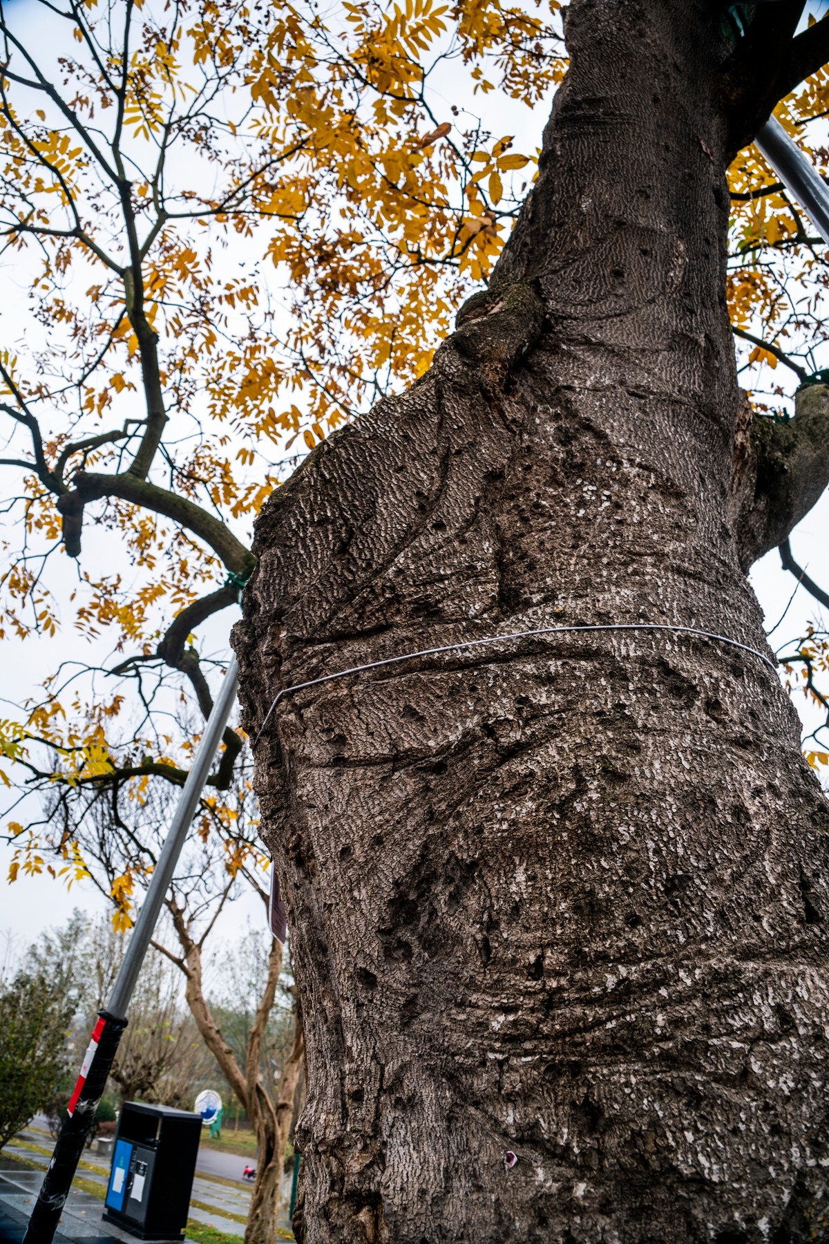 DSC09167 ����.jpg