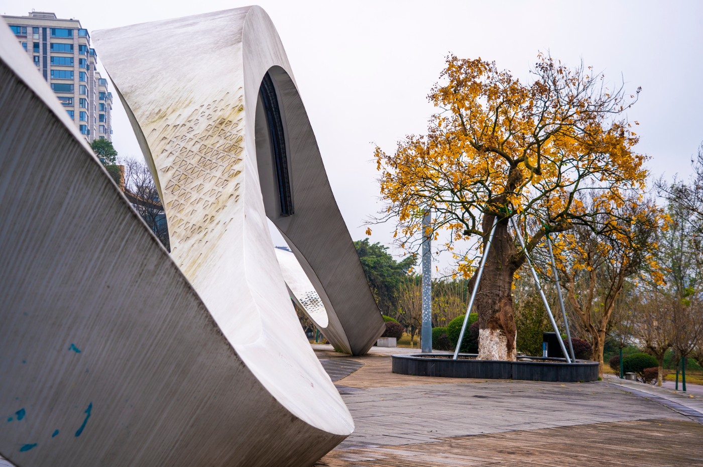 DSC09186 ����.jpg