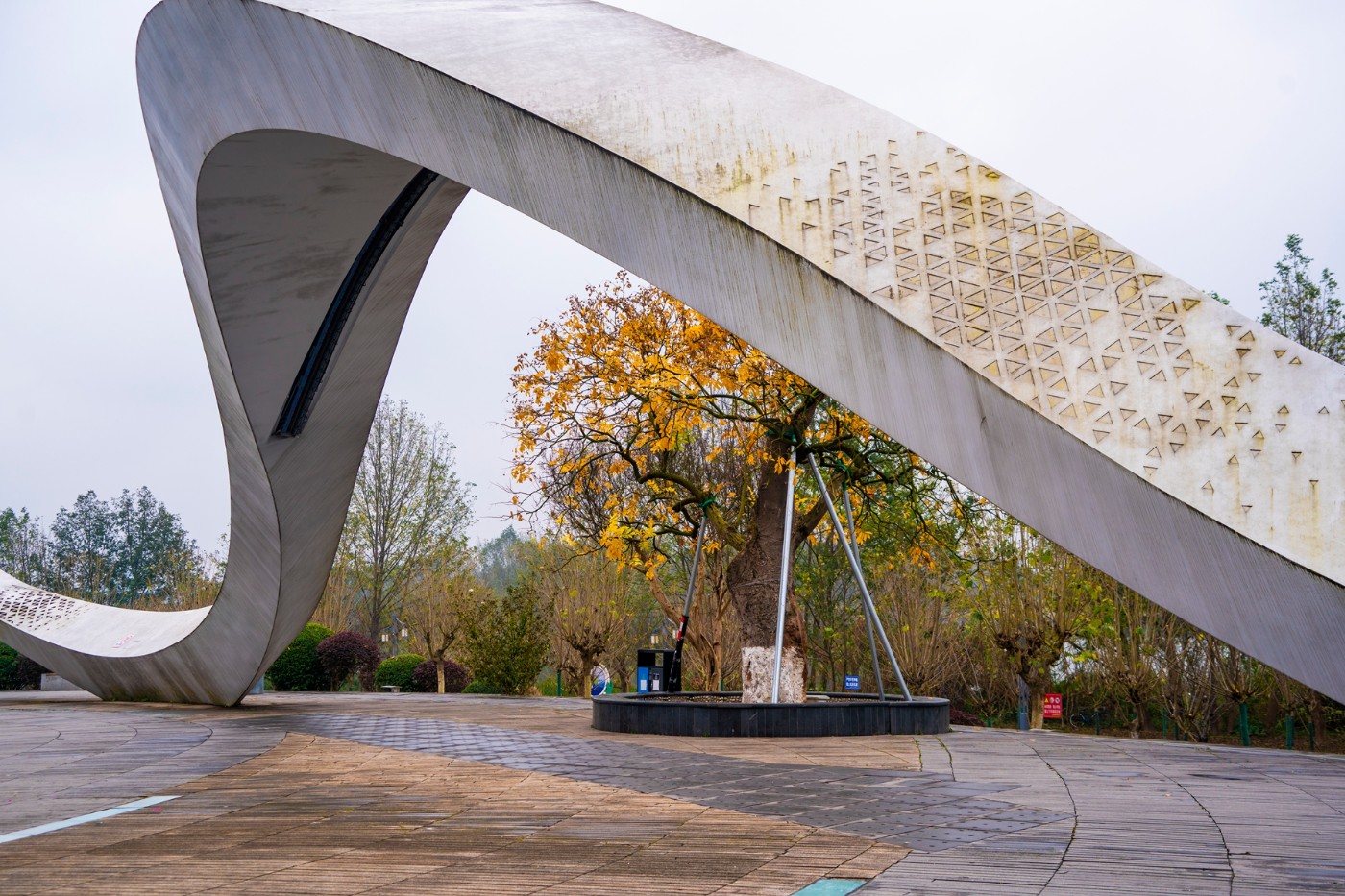 DSC09187 ����.jpg