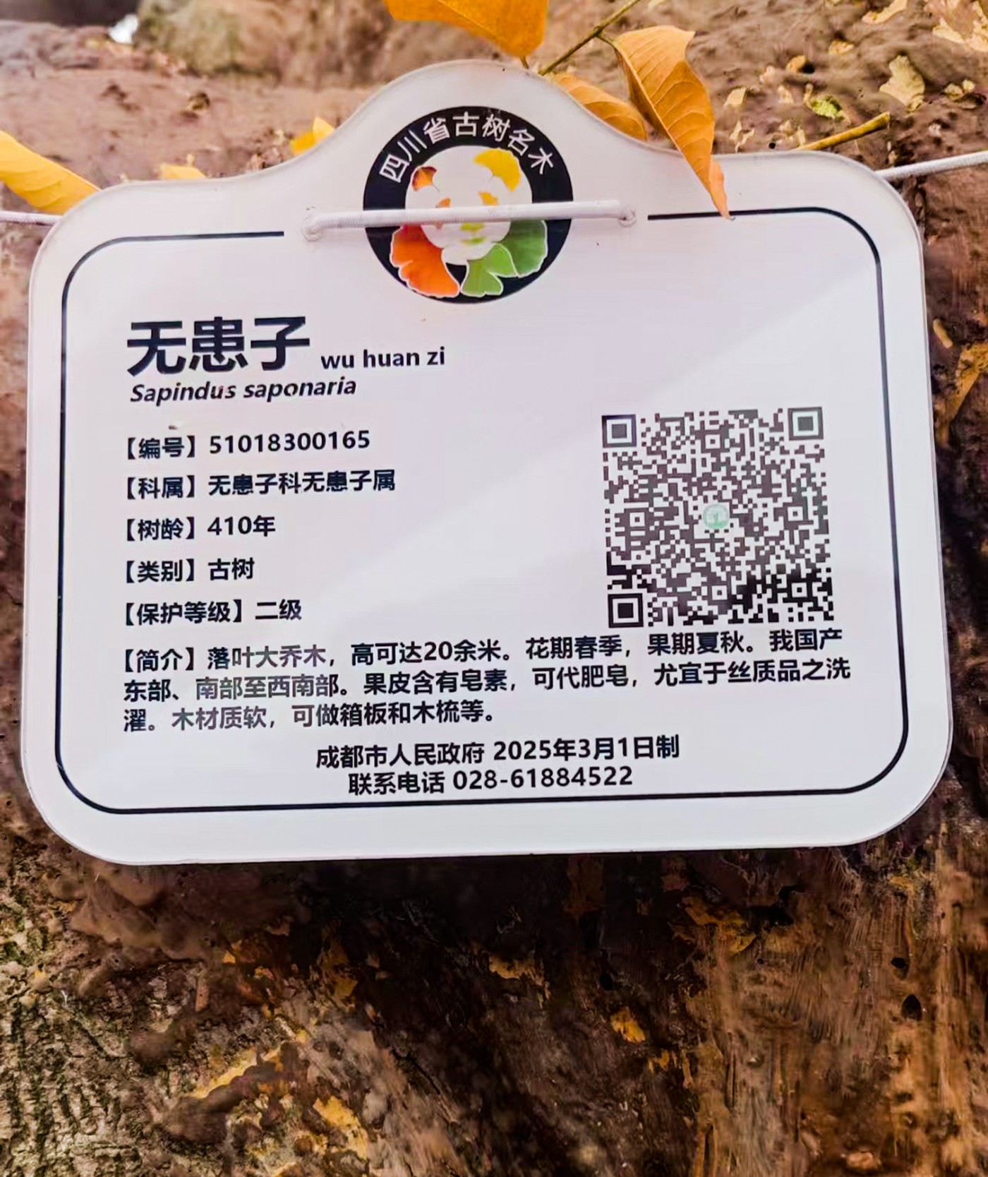 ae7a402303db337df6939828e956cd8 ����.jpg