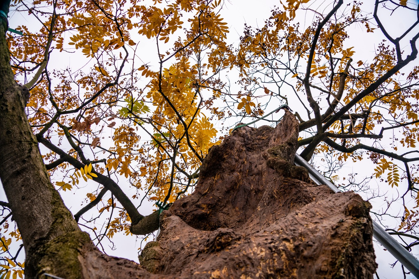 DSC09166 ����.jpg