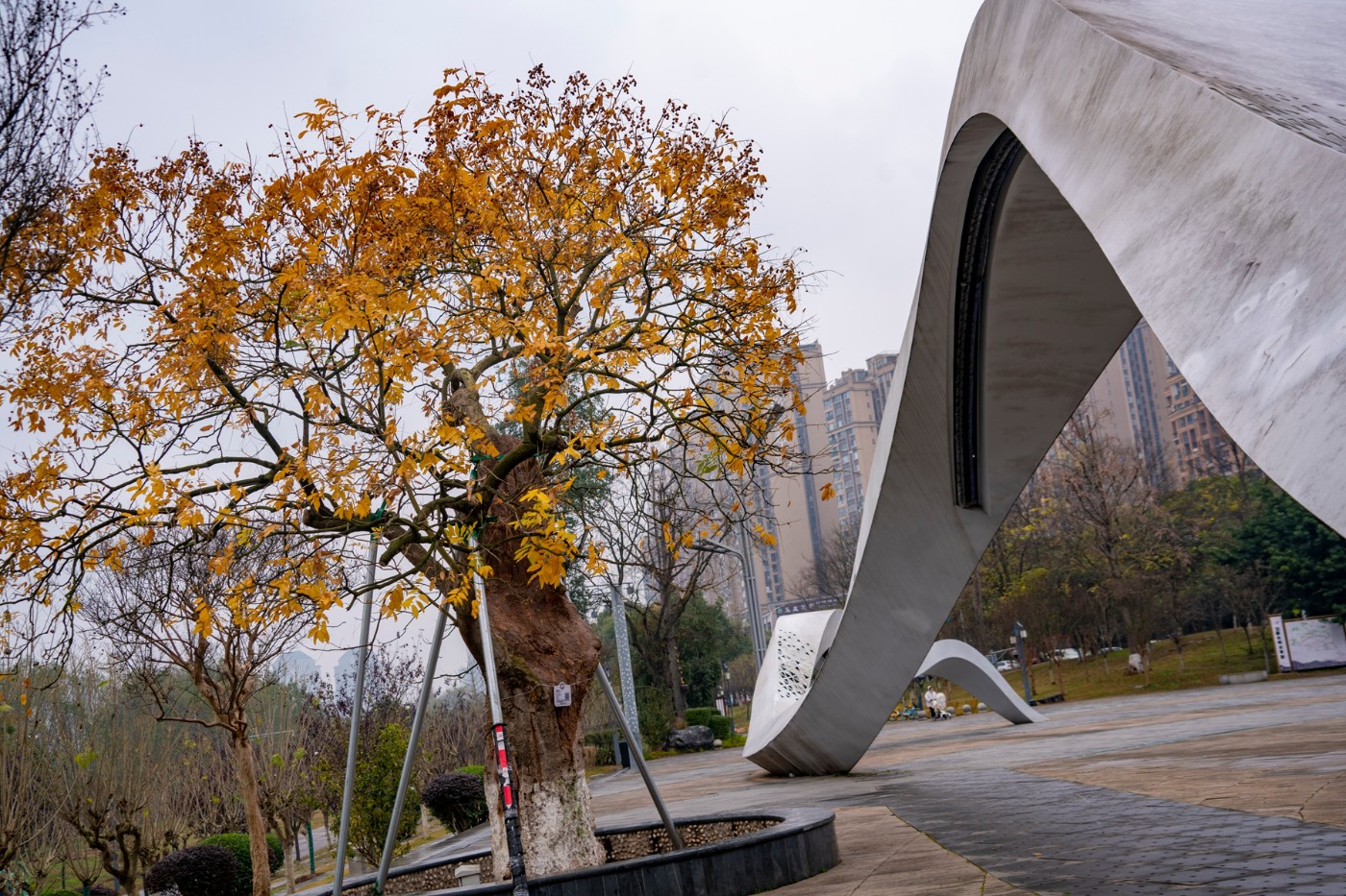 DSC09169-2 ����.jpg