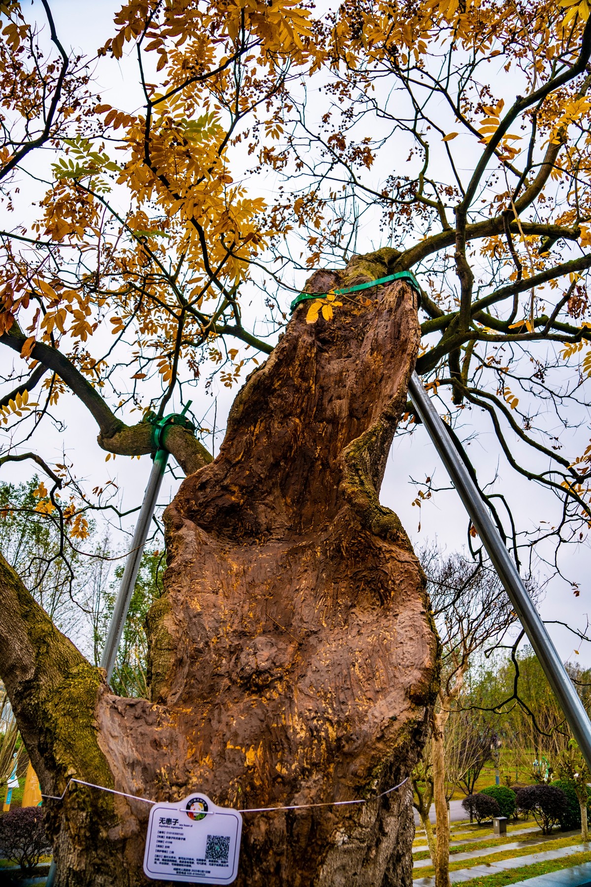 DSC09159 ����.jpg