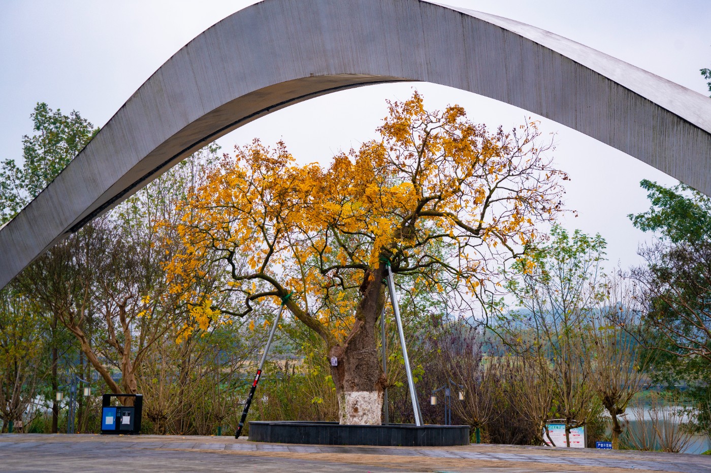 DSC09151 ����.jpg