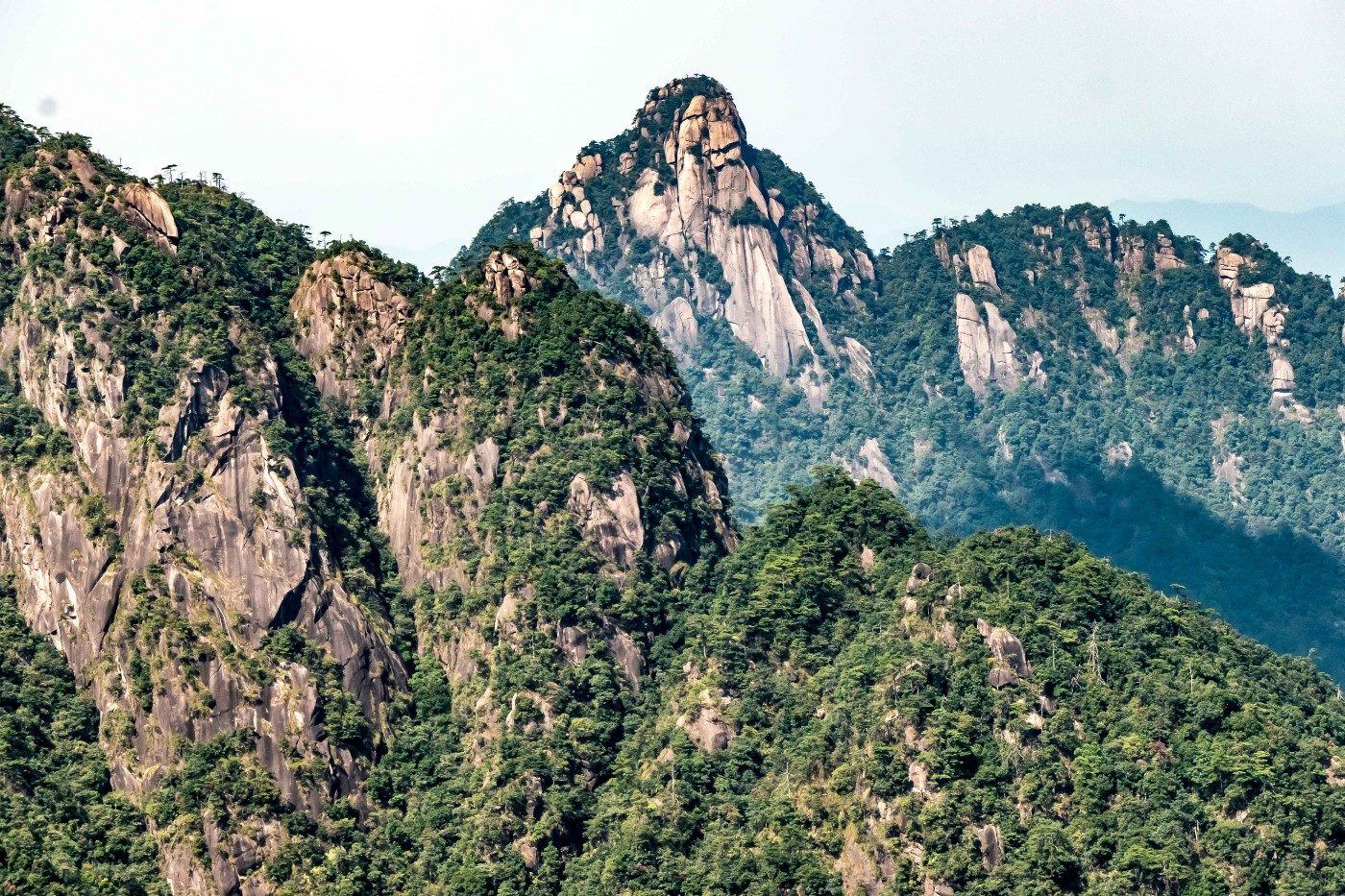 File1510.jpg