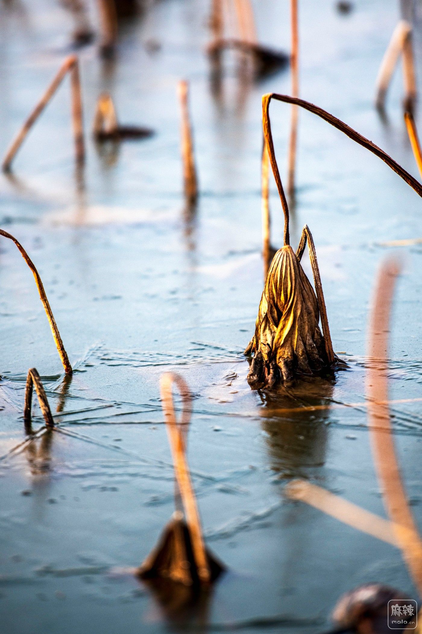 DSC_0622 ����.jpg