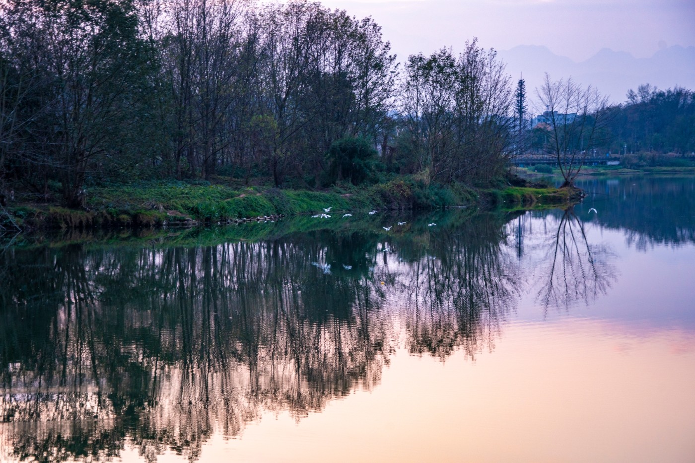 DSC09202 ����.jpg