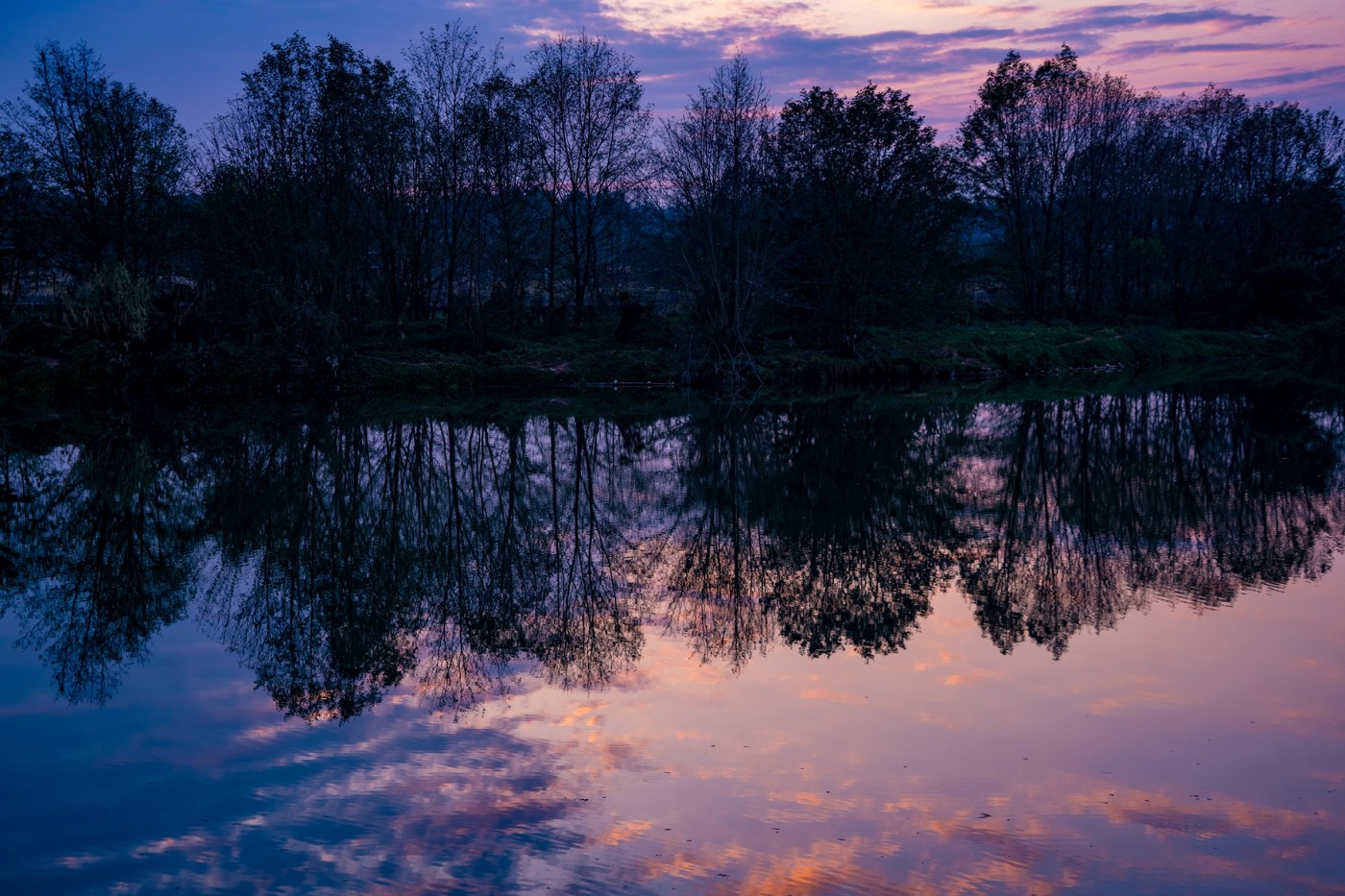 DSC09200 ����.jpg