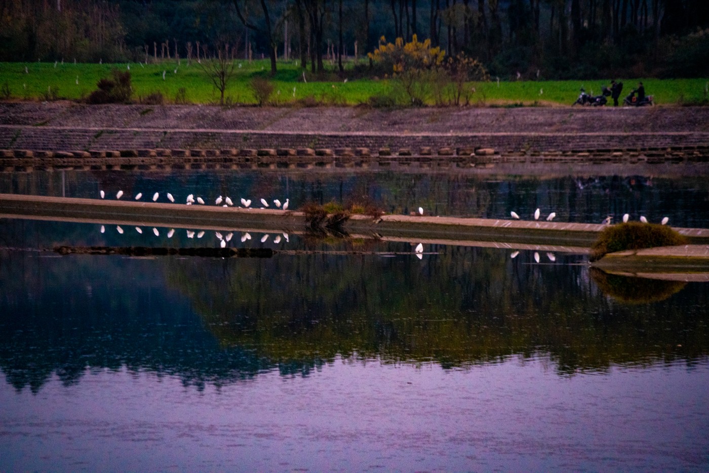 DSC09208 ����.jpg