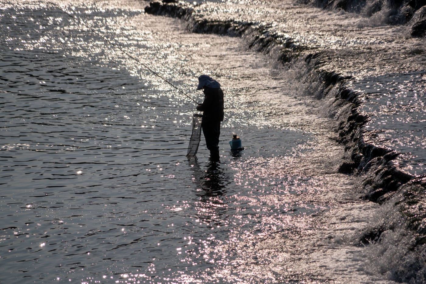 DSC09283 ����.jpg