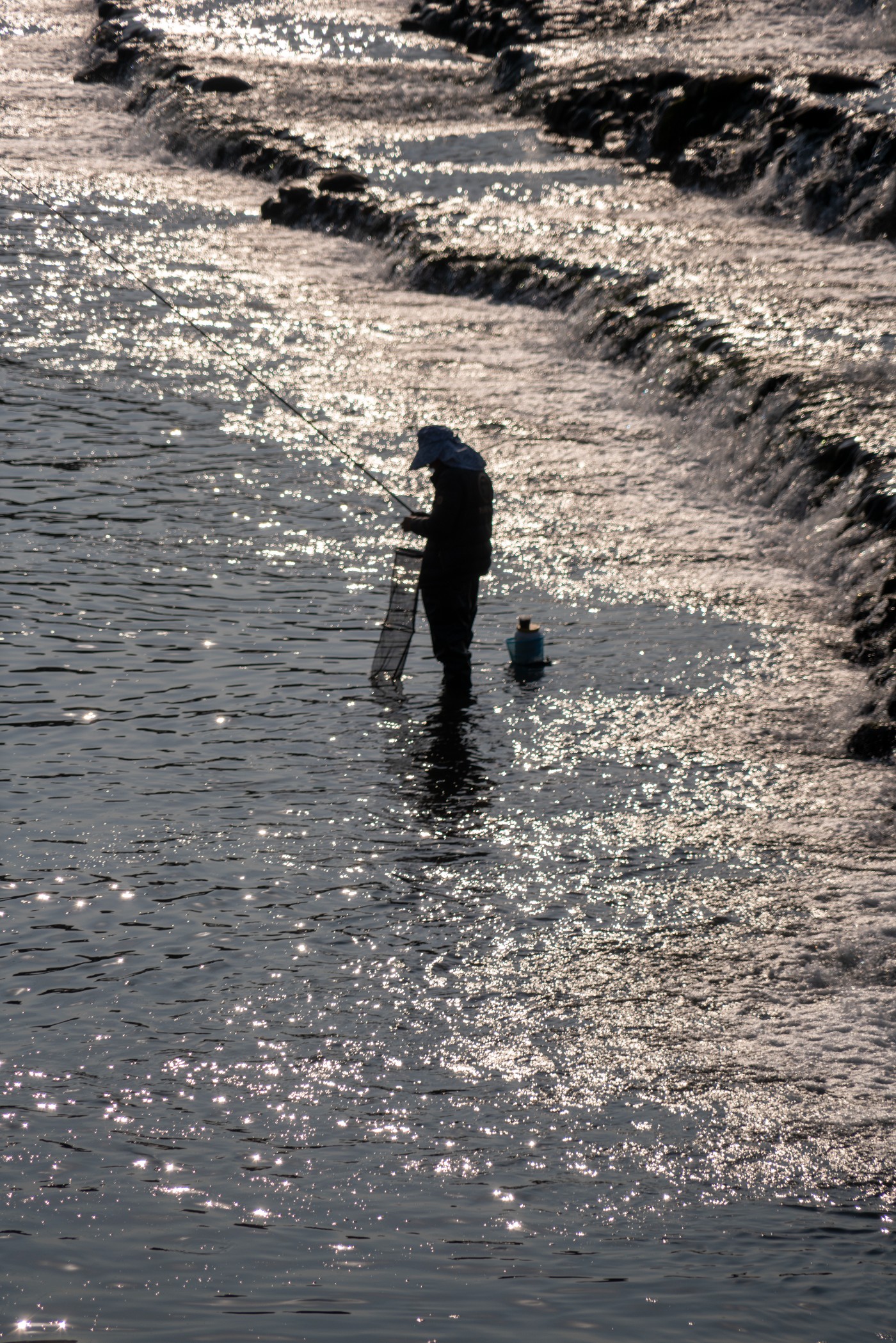 DSC09284 ����.jpg