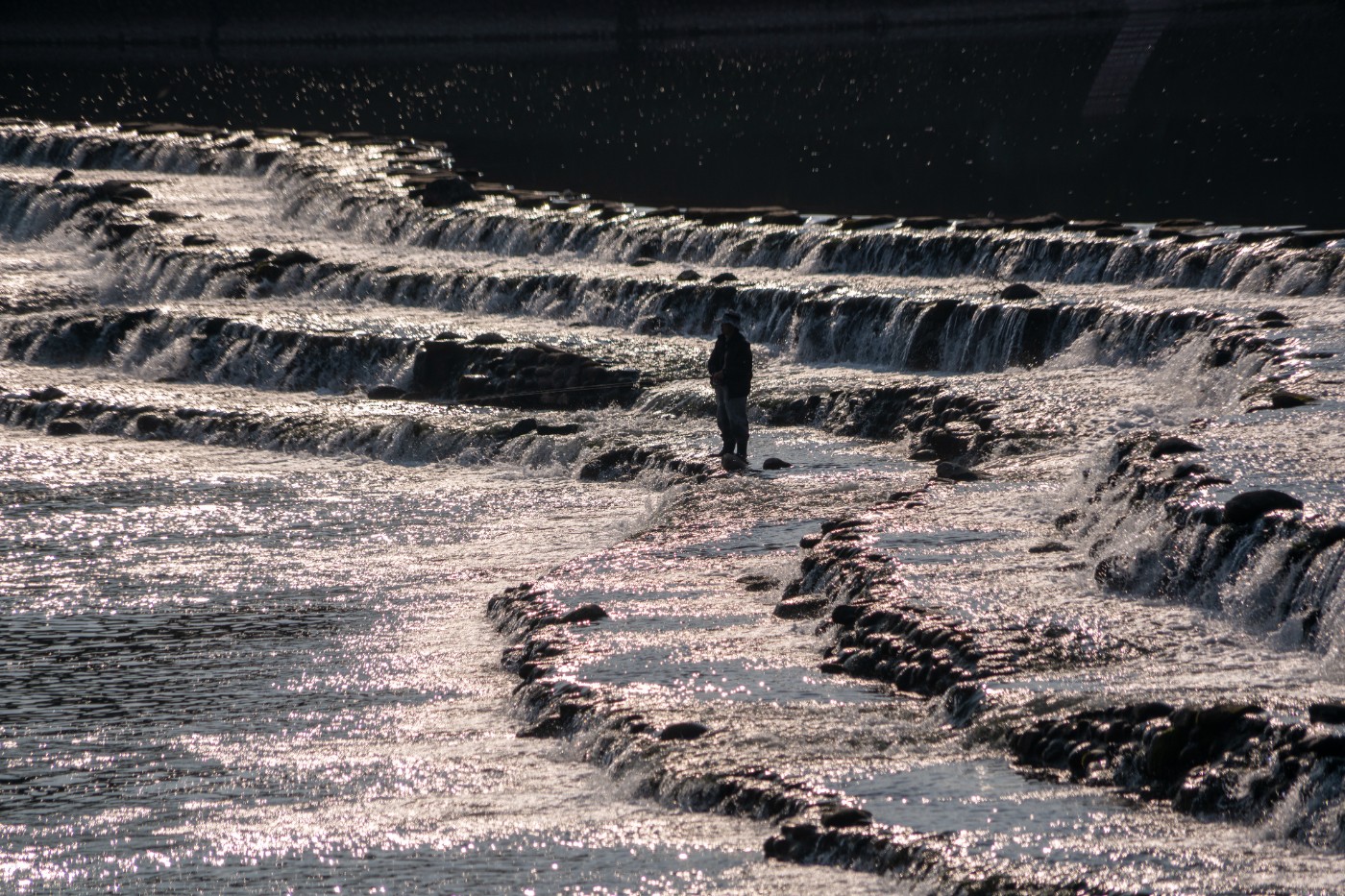 DSC09288 ����.jpg