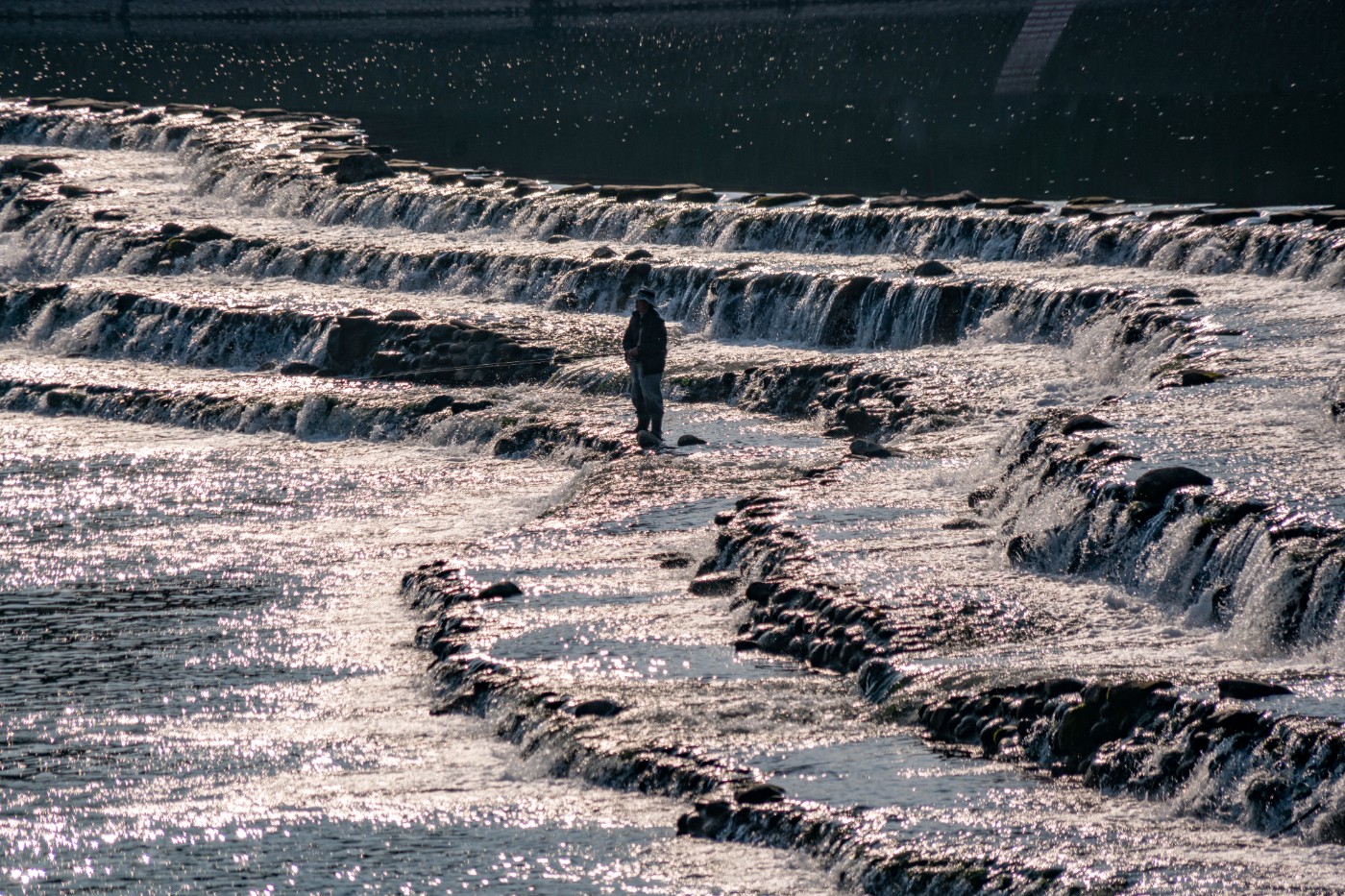 DSC09287 ����.jpg