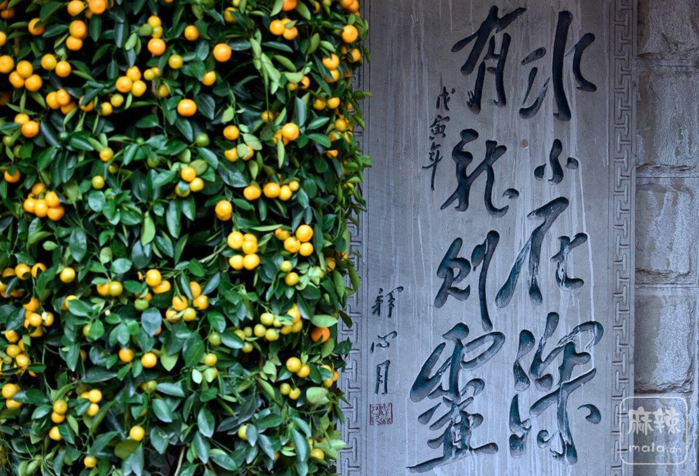 _DSC0434 ����.jpg